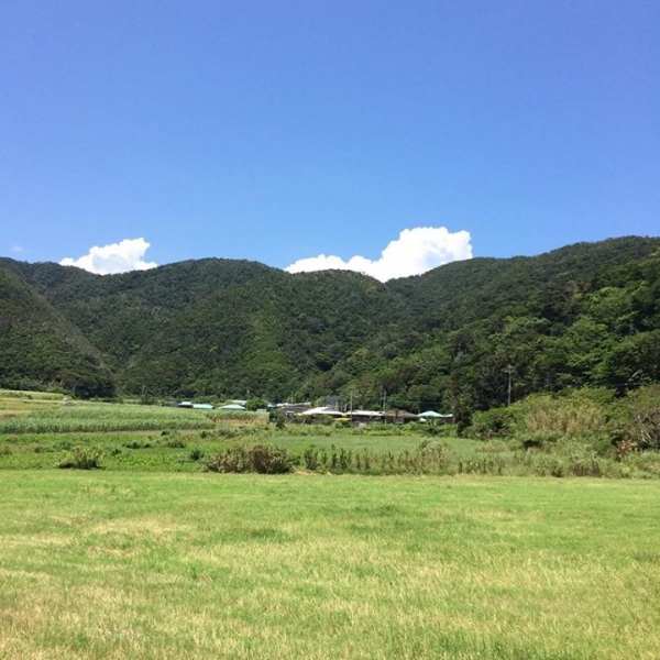 奄美大島加計呂麻島の風景