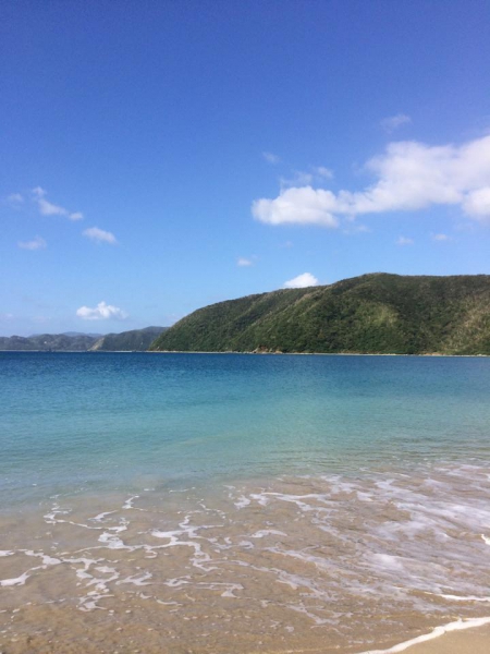 奄美大島加計呂麻島の風景