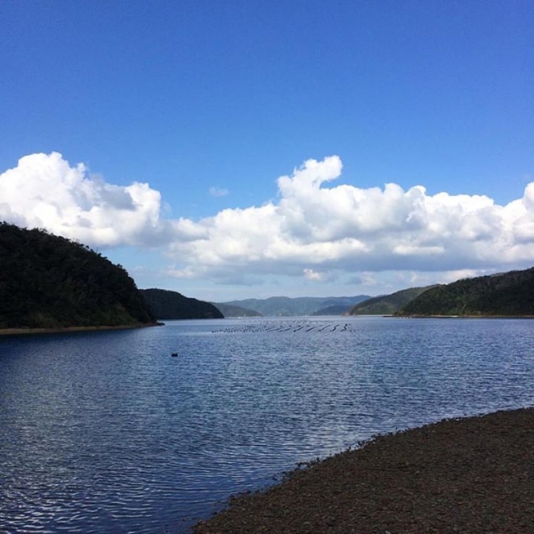 奄美大島加計呂麻島の風景