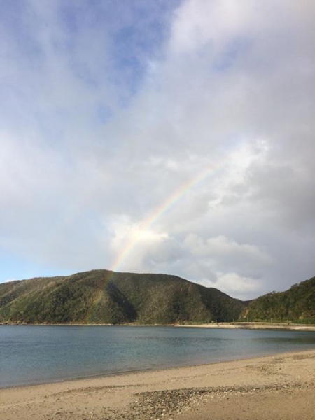 奄美大島加計呂麻島の風景