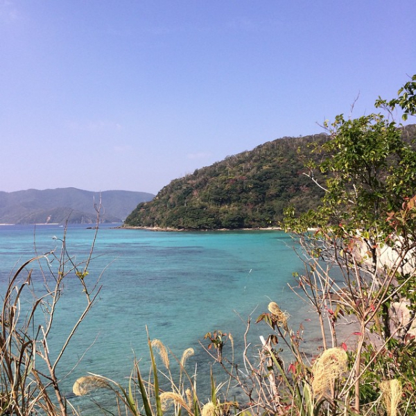 奄美大島加計呂麻島の風景