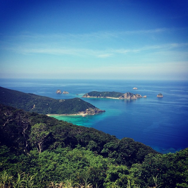 奄美大島加計呂麻島の風景