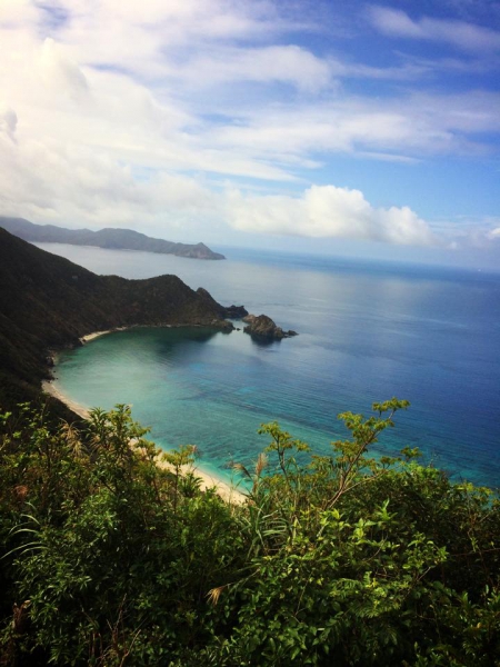 奄美大島加計呂麻島の風景