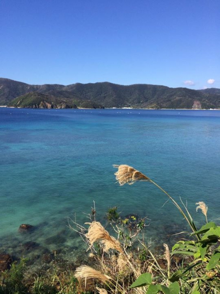 奄美大島加計呂麻島の風景