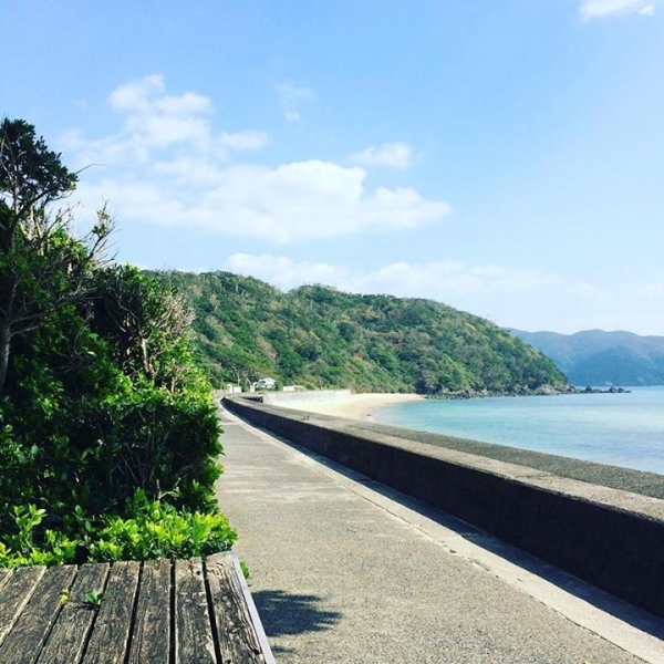 奄美大島加計呂麻島の風景