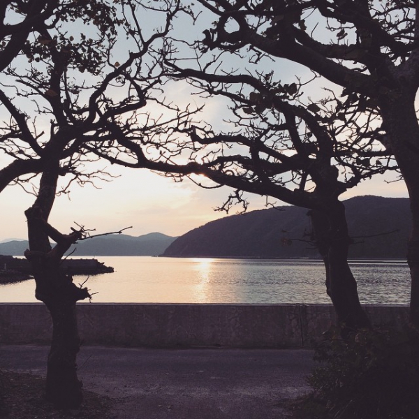 奄美大島加計呂麻島の風景