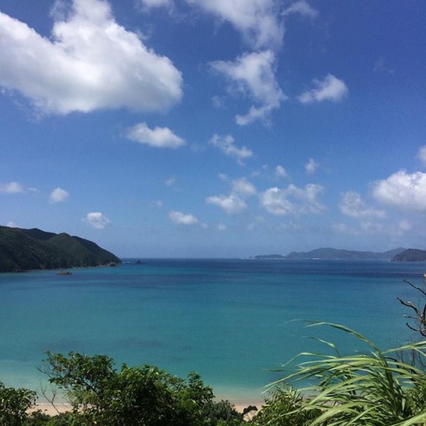 奄美大島加計呂麻島の風景