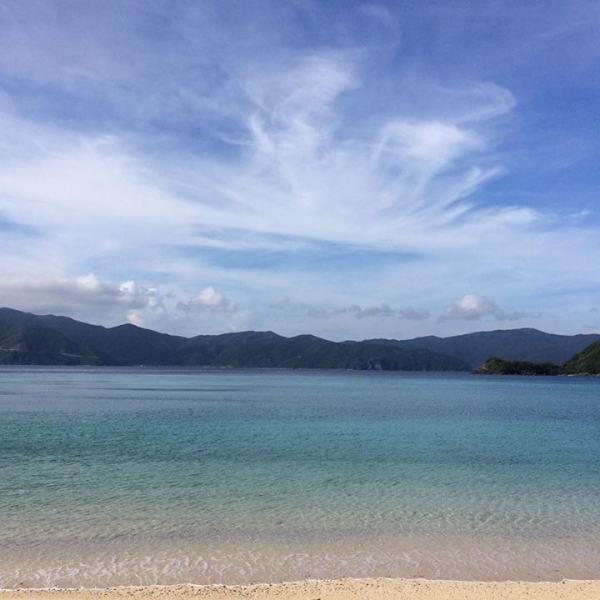 奄美大島加計呂麻島の風景