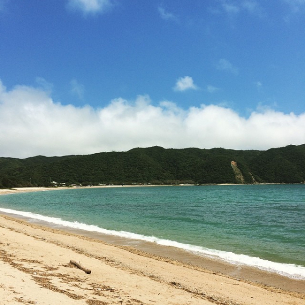 奄美大島加計呂麻島の風景