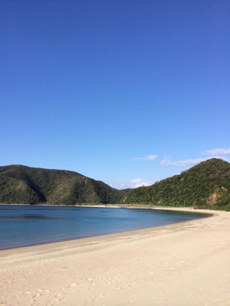 奄美大島加計呂麻島の風景