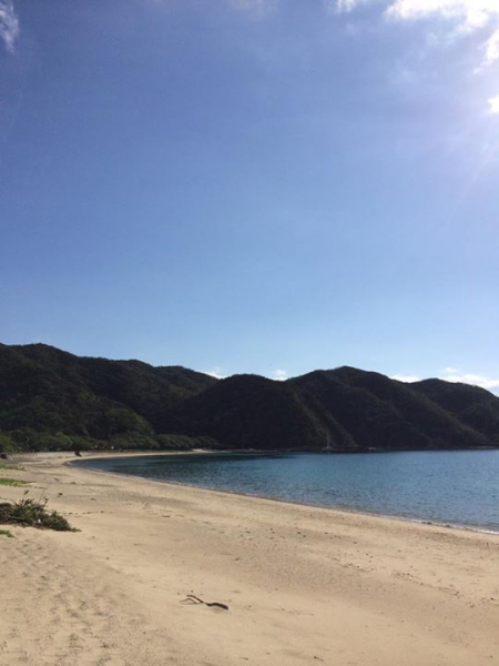 奄美大島加計呂麻島の風景