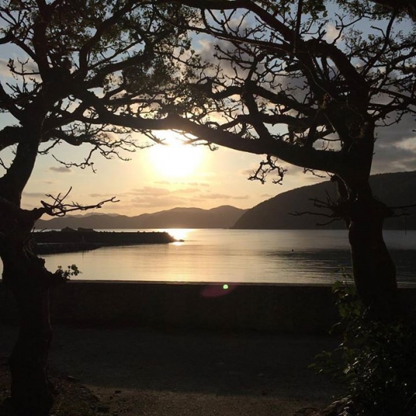 奄美大島加計呂麻島の風景