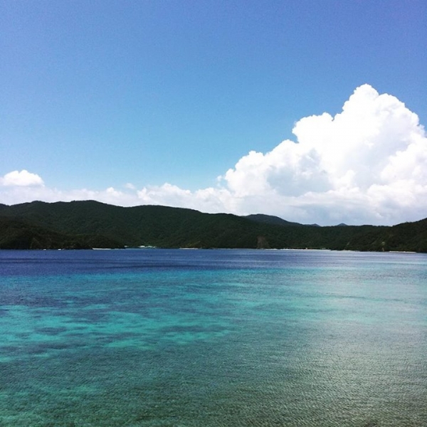 奄美大島加計呂麻島の風景