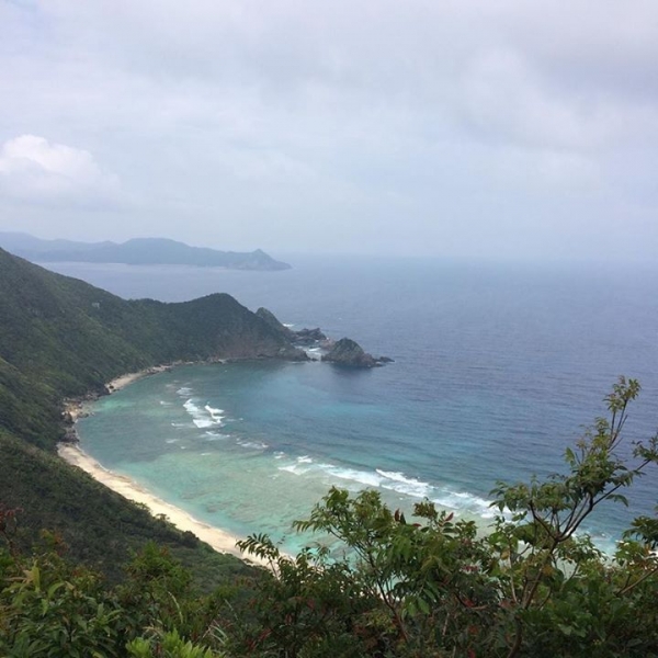 奄美大島加計呂麻島の風景