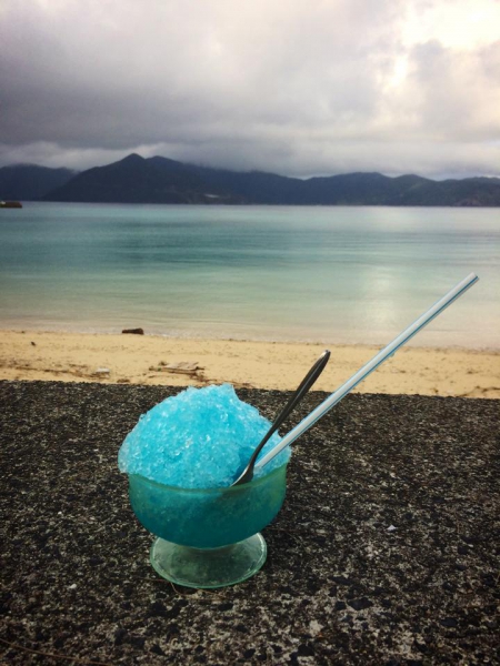 奄美大島加計呂麻島の風景