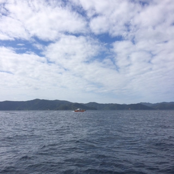 奄美大島加計呂麻島の風景