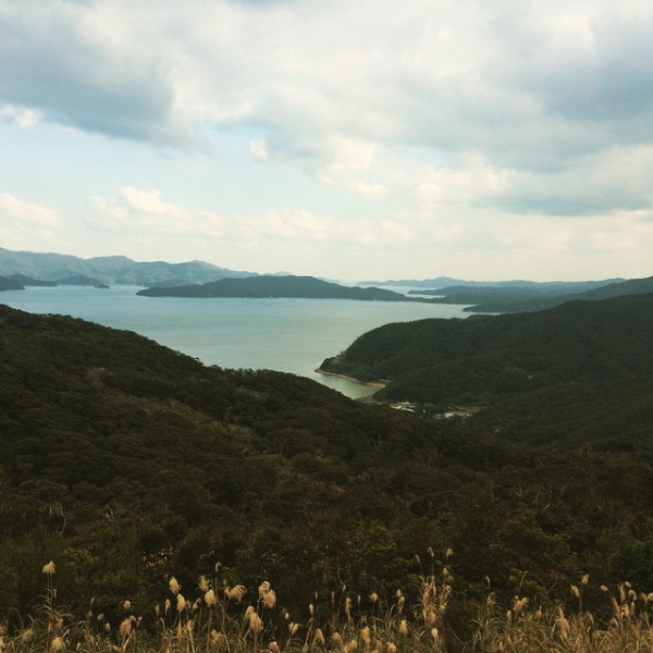 奄美大島加計呂麻島の風景