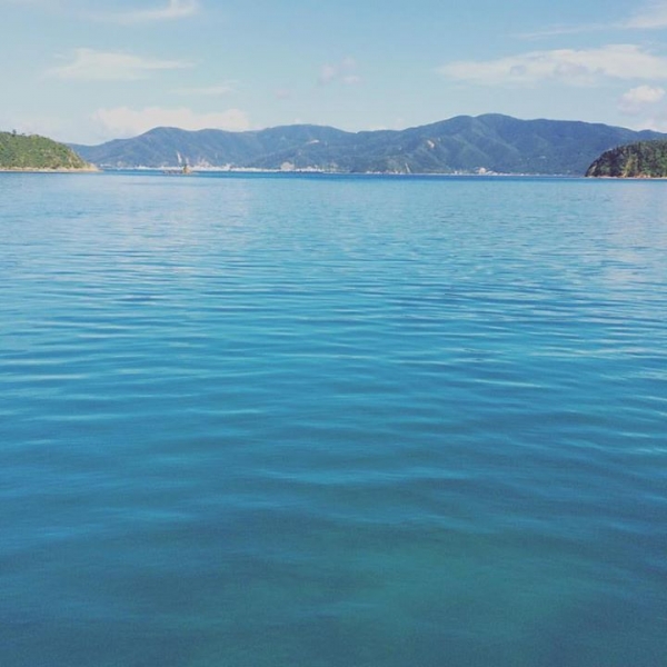 奄美大島加計呂麻島の風景