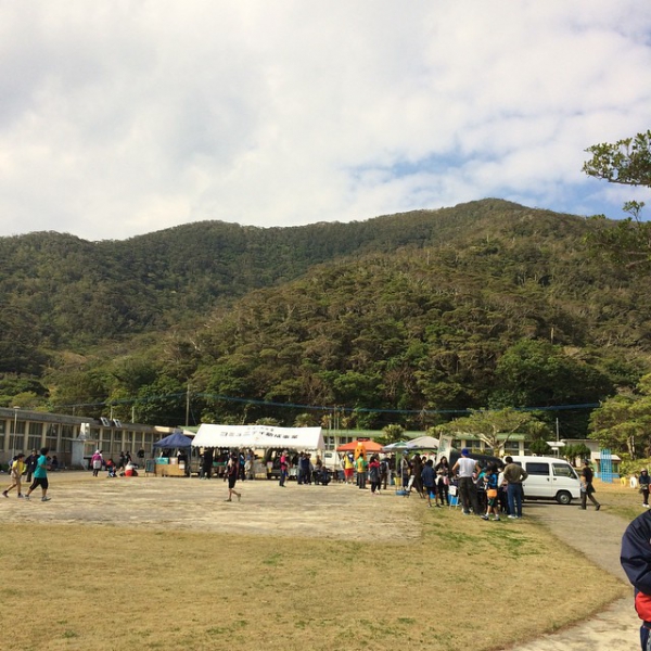 奄美大島加計呂麻島の風景