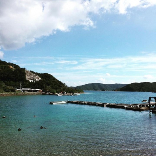 奄美大島加計呂麻島の風景