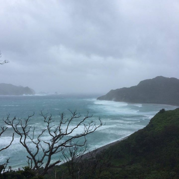 奄美大島加計呂麻島の風景