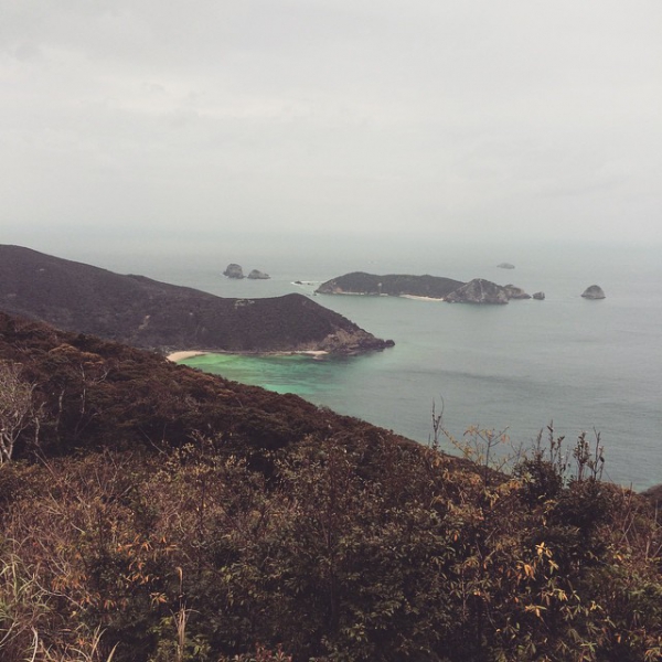 奄美大島加計呂麻島の風景