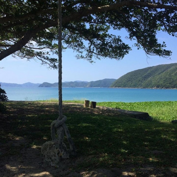 奄美大島加計呂麻島の風景