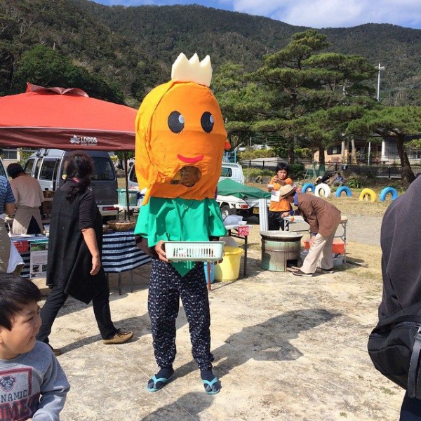 奄美大島加計呂麻島の風景