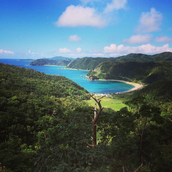 奄美大島加計呂麻島の風景