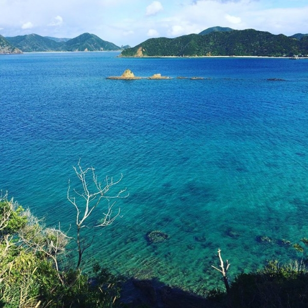 奄美大島加計呂麻島の風景