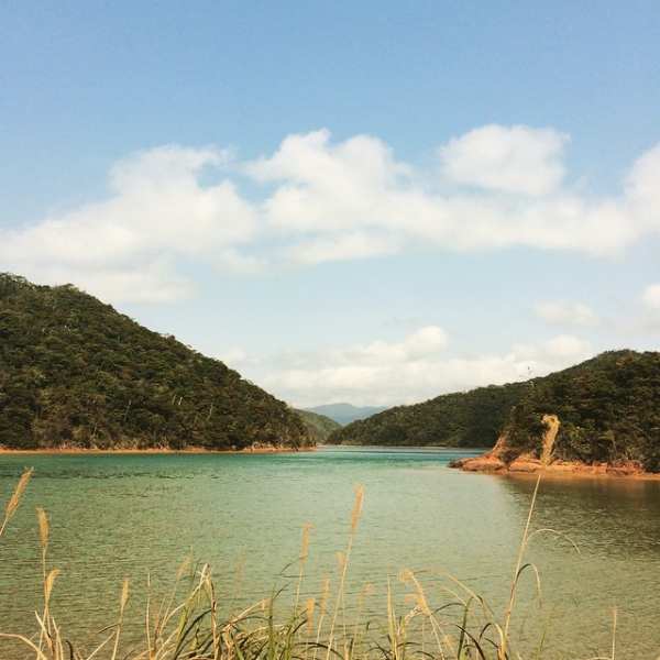 奄美大島加計呂麻島の風景