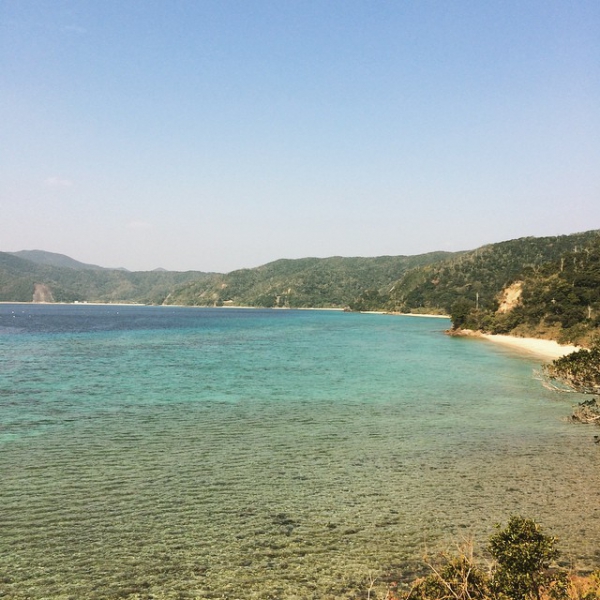 奄美大島加計呂麻島の風景