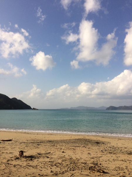 奄美大島加計呂麻島の風景