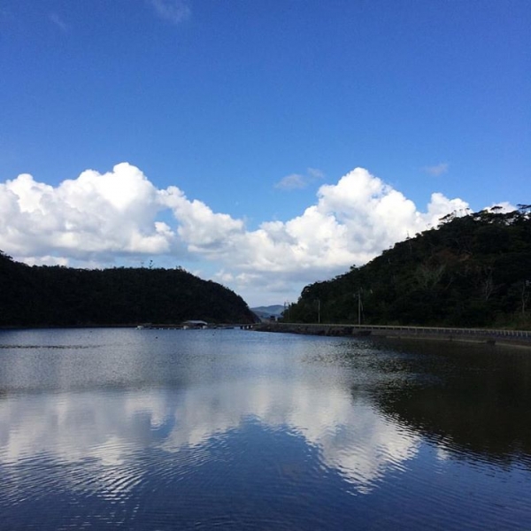 奄美大島加計呂麻島の風景