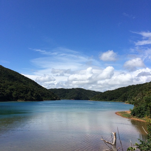 奄美大島加計呂麻島の風景