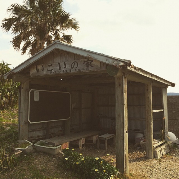 奄美大島加計呂麻島の風景