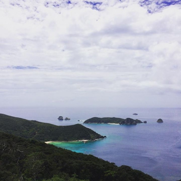 奄美大島加計呂麻島の風景