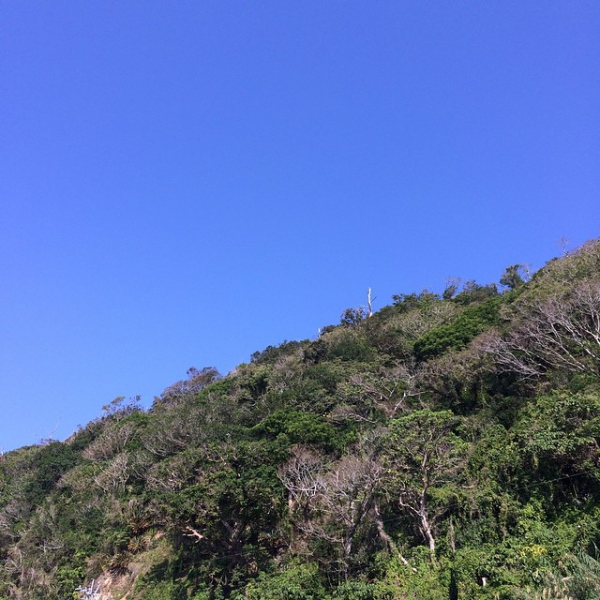 奄美大島加計呂麻島の風景