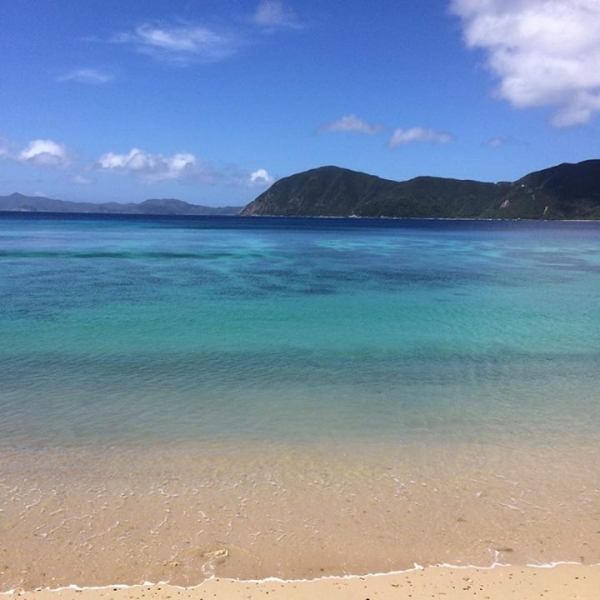 奄美大島加計呂麻島の風景