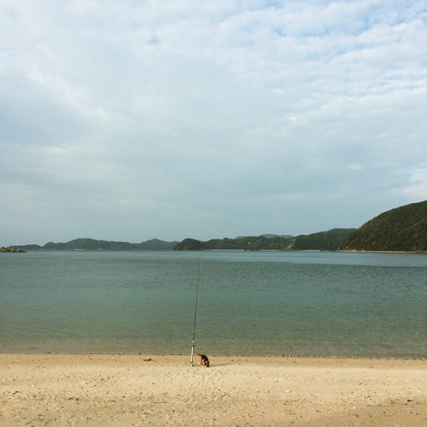 奄美大島加計呂麻島の風景