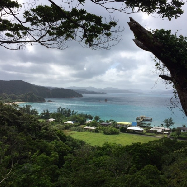 奄美大島加計呂麻島の風景