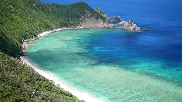 奄美大島加計呂麻島の風景