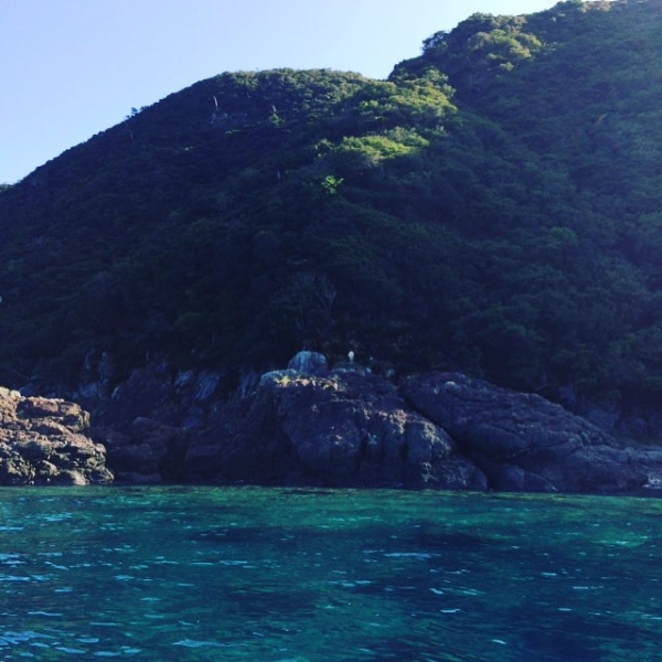 奄美大島加計呂麻島の風景