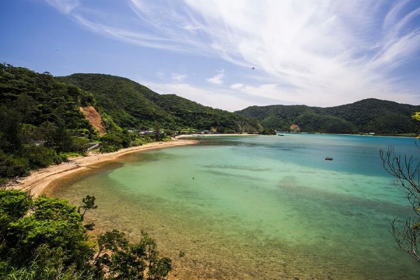 奄美大島加計呂麻島の風景