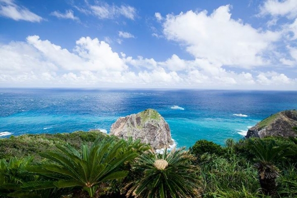 奄美大島加計呂麻島の風景