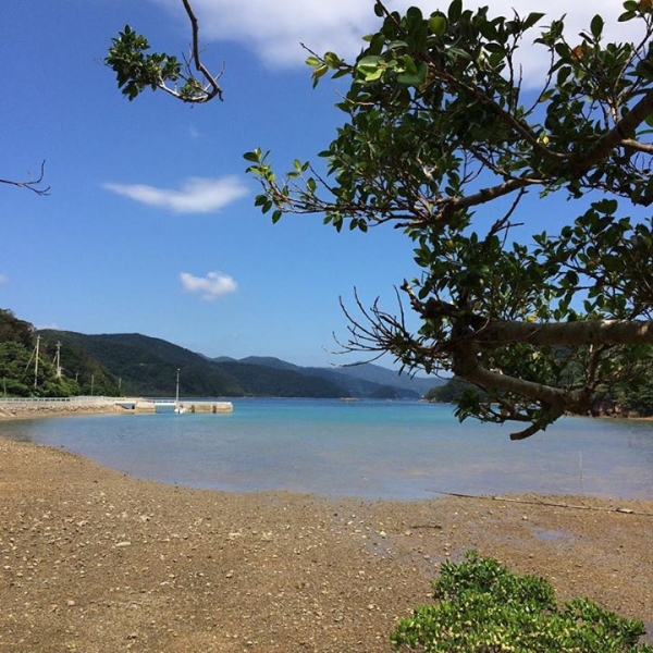 奄美大島加計呂麻島の風景