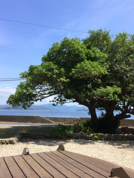 奄美大島加計呂麻島の風景