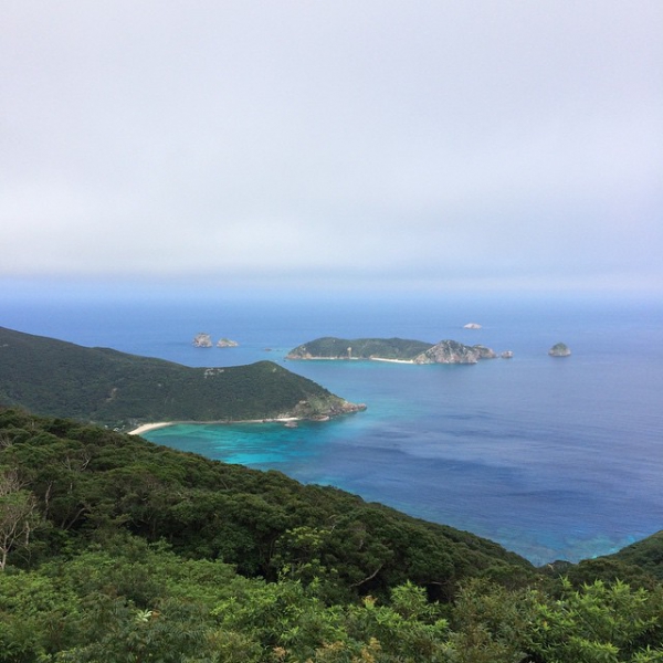 奄美大島加計呂麻島の風景