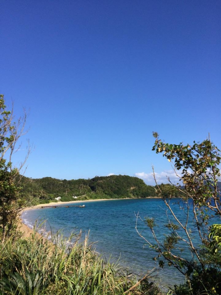 奄美大島加計呂麻島の風景