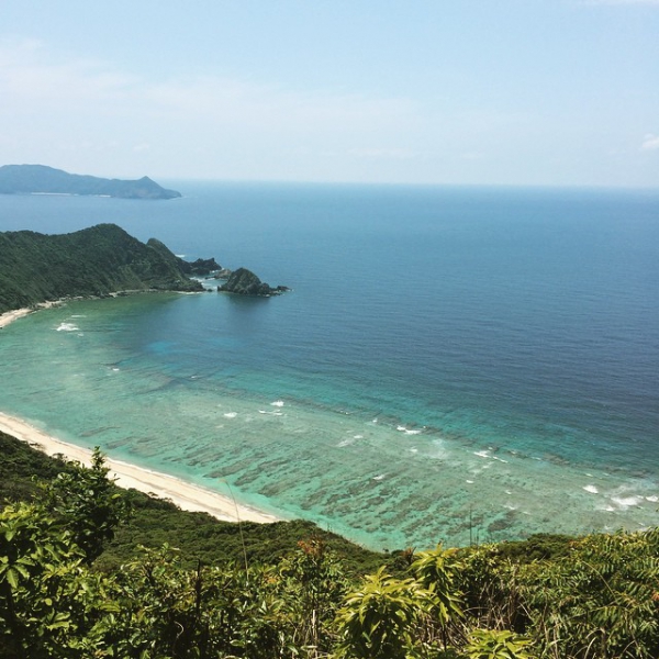 奄美大島加計呂麻島の風景